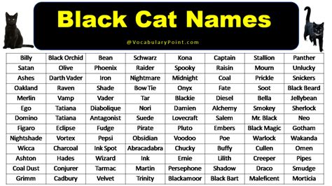 black anime cat names